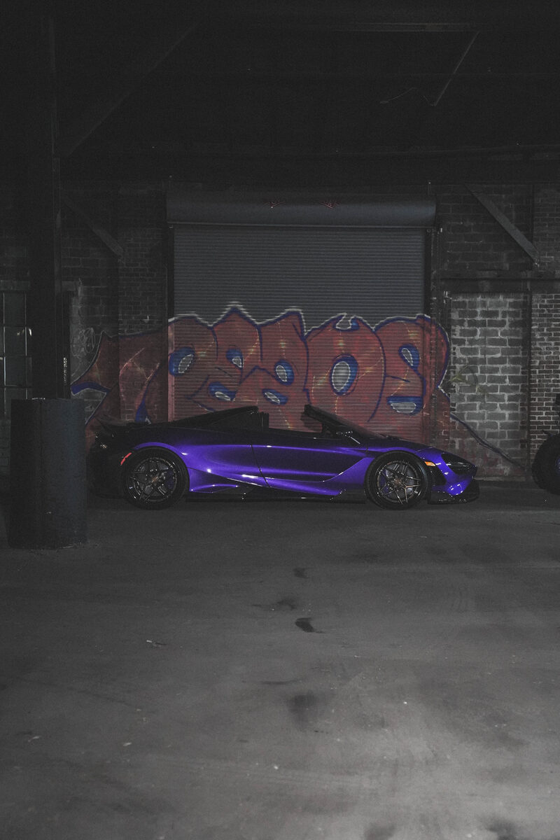 Purple exotic in studio